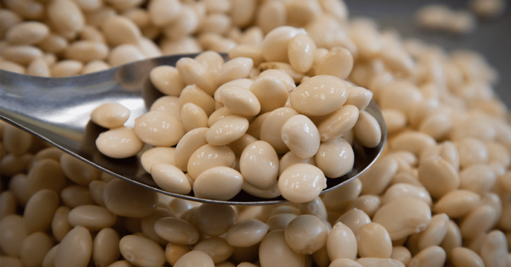 beneficios de comer chochos